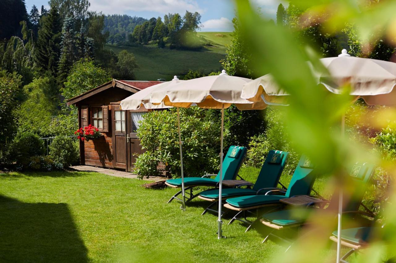 Erfurths Bergfried Ferien & Wellnesshotel 힌터짤텐 외부 사진